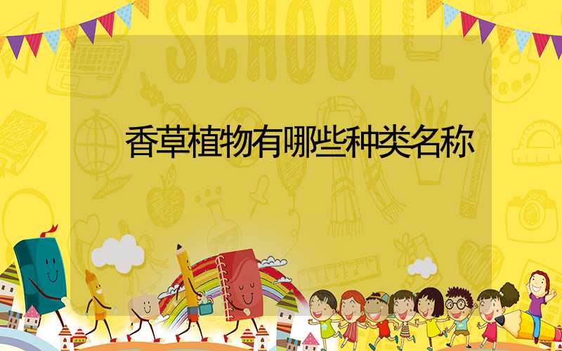  香草植物有哪些种类名称